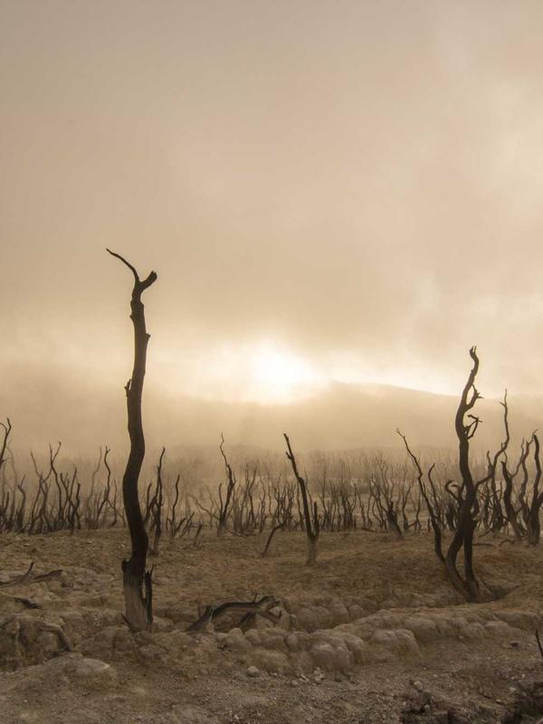 Marcus Williams, Partner at Lumen Legal Group specializing in employment law