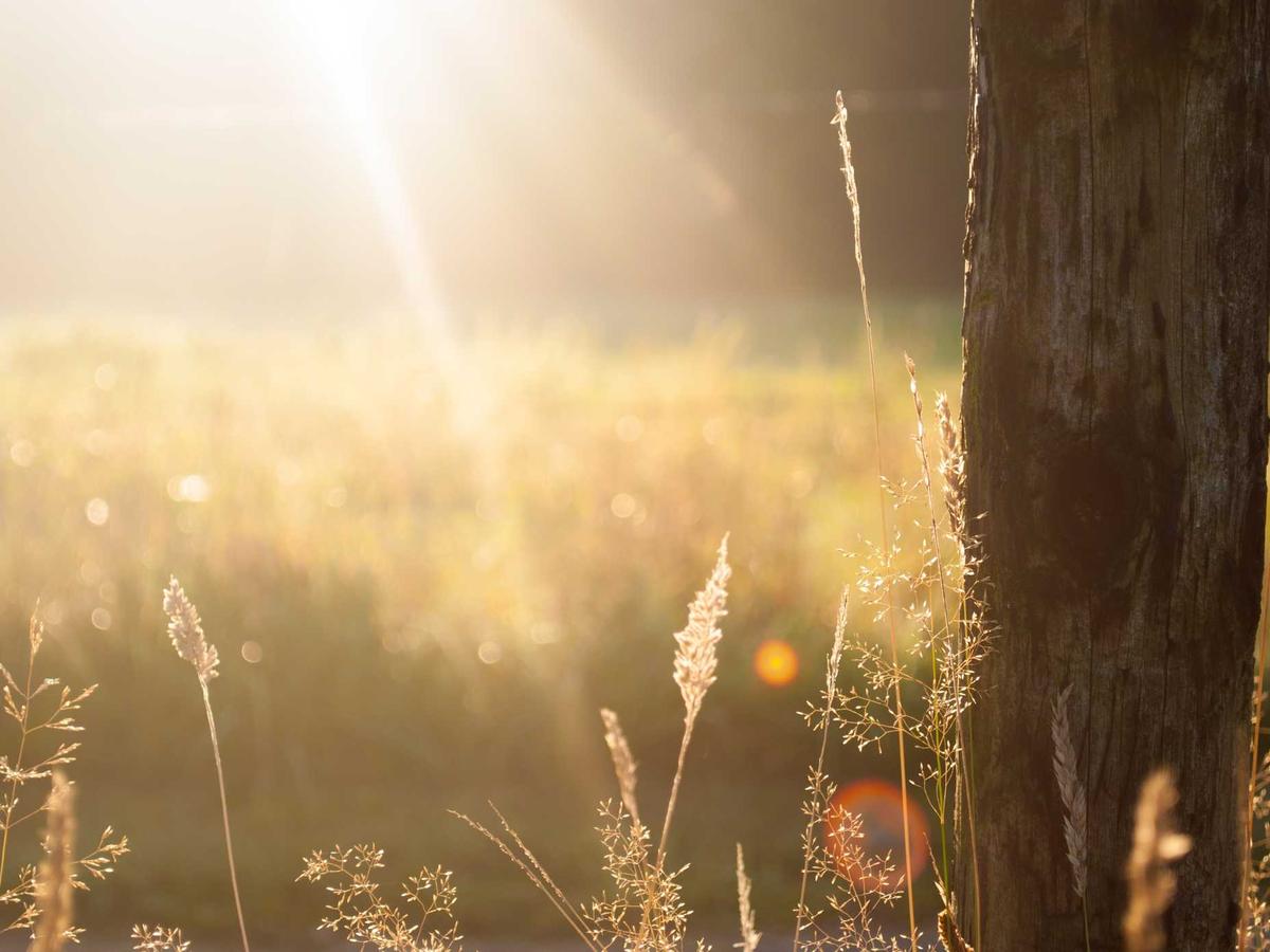 Lumen Legal Group attorneys in their downtown Austin office